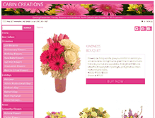 Tablet Screenshot of cabincreationsnd.com